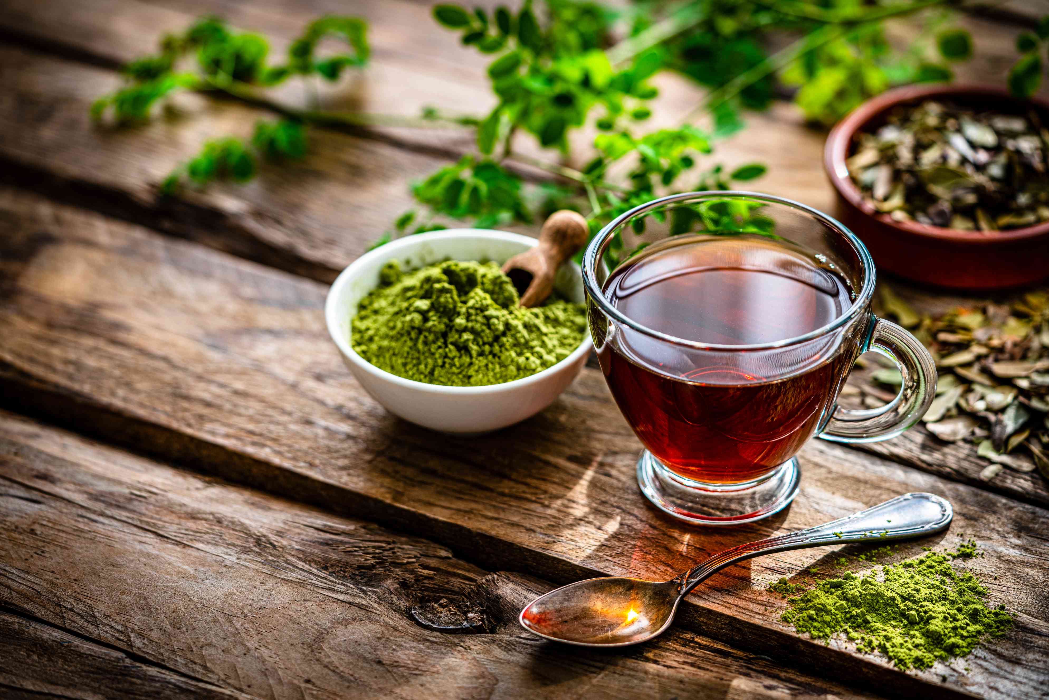 Moringa Tea Wholesale Manufacturer & Supplier in India